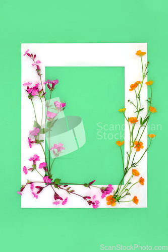 Image of Red Campion and Buttercup Summer Wildflowers Background Border