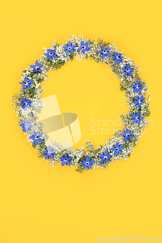 Image of Borage Flower and Elderflower Wildflower Wreath