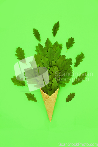 Image of Surreal Bizarre Summer Oak Tree Leaf Ice Cream