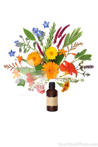 Image of Surreal Summer Flower and Herb Splash for Essential Oil Treatmen