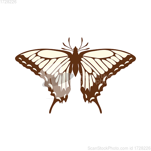 Image of Sketch of Butterfly