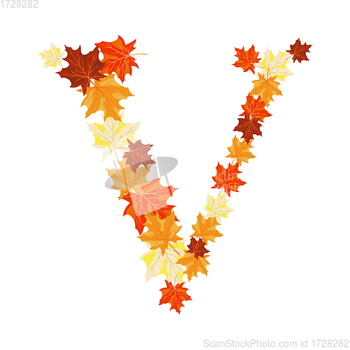 Image of Autumn Maples Leaves Letter