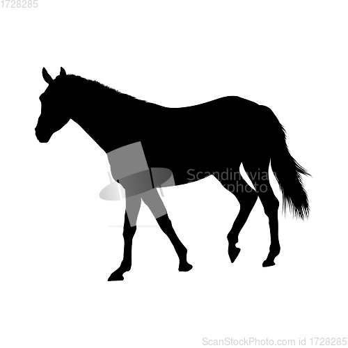 Image of Horse Silhouette