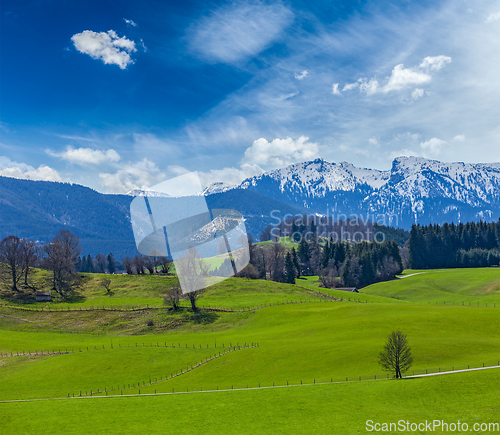 Image of German idyllic pastoral countryside in spring with Alps in backg