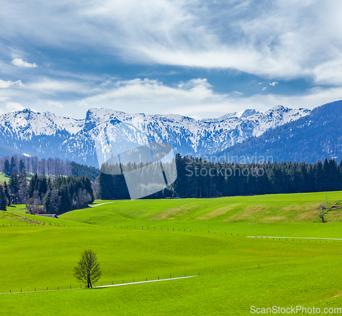 Image of German idyllic pastoral countryside in spring with Alps in backg