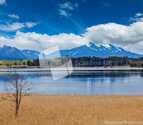 Image of Bavarian Alps countryside landscape