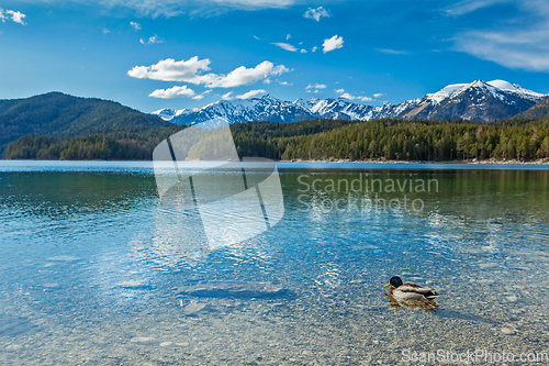 Image of Eibsee lake, Germany