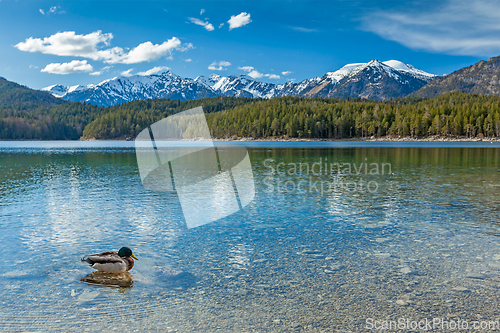 Image of Eibsee lake, Germany