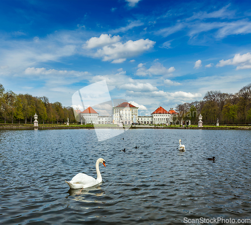 Image of Swan and Nymphenburg Palace. Munich, Bavaria, Germany