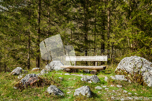 Image of Lonely bench in forest