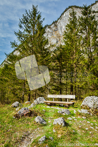 Image of Lonely bench in forest