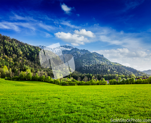 Image of Alpine meadow in Bavaria, Germany