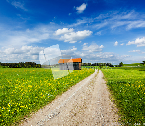 Image of Summer meadow