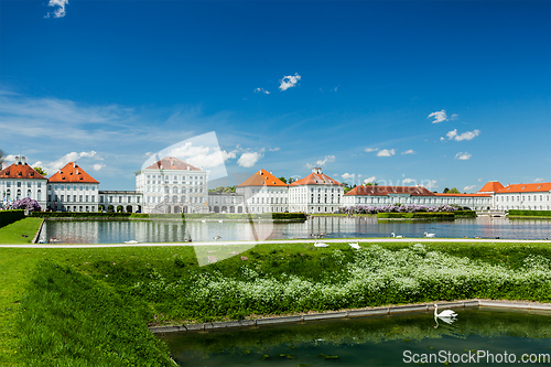 Image of Swans in fountain near the Nymphenburg Palace