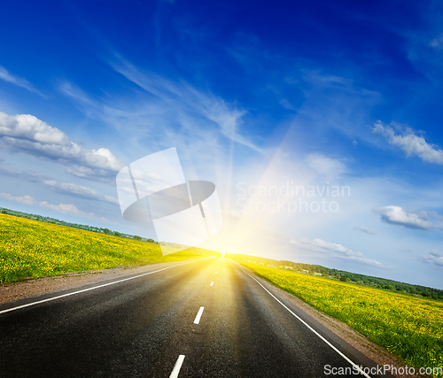 Image of Road in blooming spring meadow