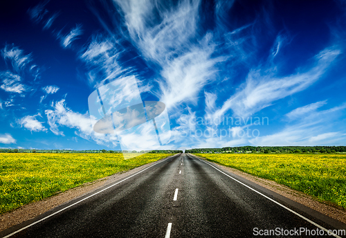 Image of Road in blooming spring meadow