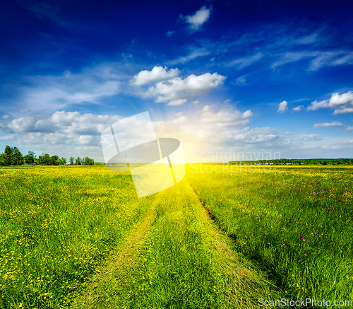 Image of Spring summer - rural road in green field scenery\