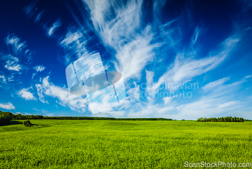 Image of Spring summer green field scenery lanscape