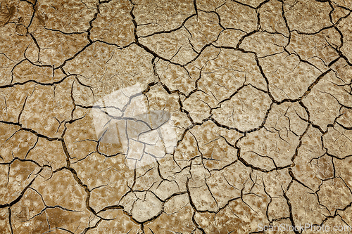 Image of Cracked earth background texture