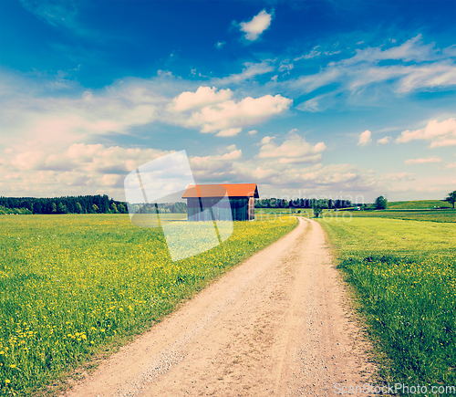 Image of Summer meadow