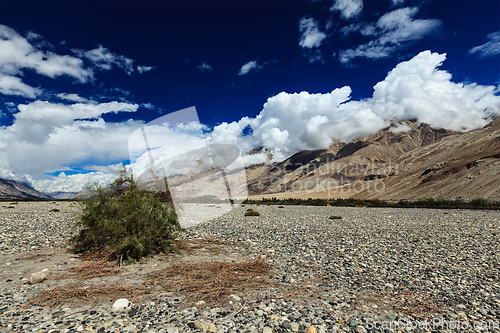 Image of Nubra valley in Himalayas. Ladakh, India