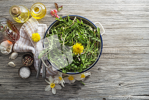 Image of Dandelion salad