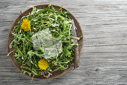 Image of Dandelion plants