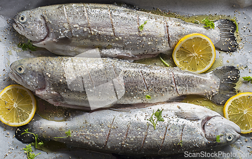 Image of Trout fish dish