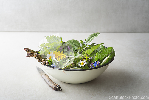 Image of Spring herbs and plants