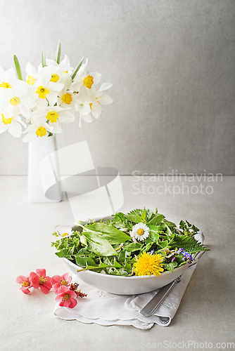 Image of Spring herbs and plants