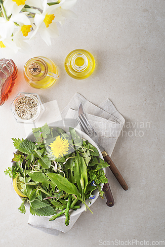 Image of Spring herbs and plants