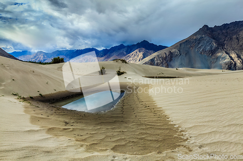 Image of Sand dunes in Himalayas. Hunder, Nubra valley, Ladakh. India