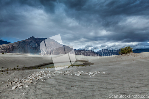 Image of Sand dunes in Himalayas. Hunder, Nubra valley, Ladakh