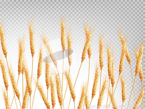 Image of Ears of wheat horizontal pattern. EPS 10