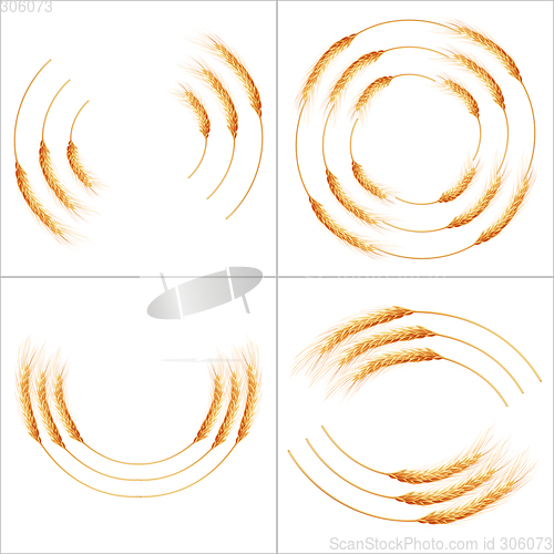 Image of Set of 16 detailed Wheat ears. EPS 10