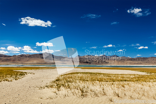 Image of Himalayan lake Tso Kar in Himalayas, Ladakh, India