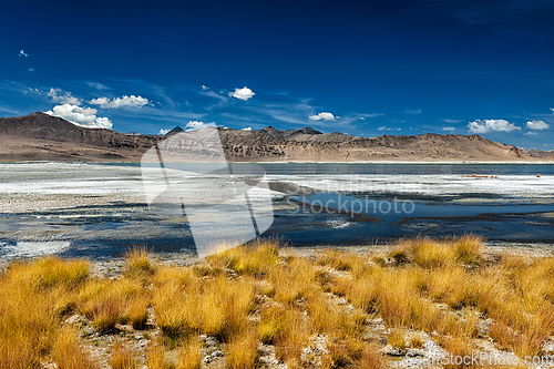 Image of Mountain lake Tso Kar in Himalayas