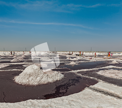 Image of Salt mine at Sambhar Lake, Sambhar, Rajasthan, India