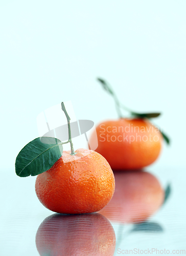 Image of Two ripe tangerines