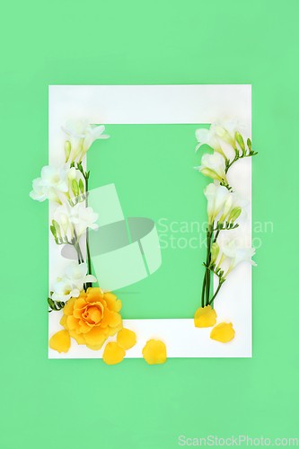 Image of Rose and Freesia Flower Background Border Composition