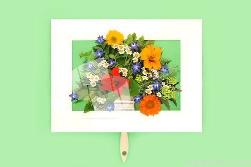 Image of Paintbrush Painting with Flowers and Herbs in Picture Frame