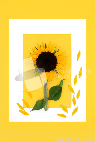 Image of Sunflower Abstract Summer Flower Background 