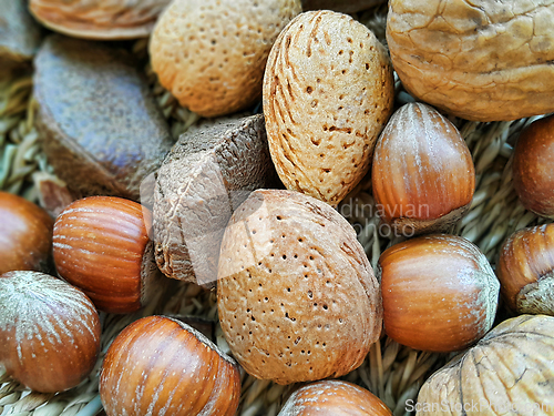 Image of various nuts in the shell