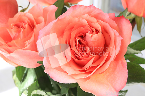 Image of Beautiful bouquet of delicate roses