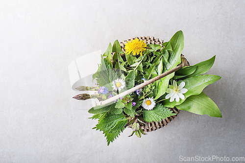 Image of Spring herbs and plants