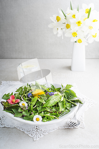 Image of Spring herbs and plants