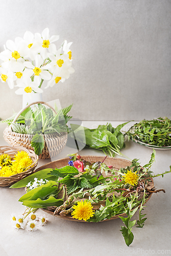 Image of Spring herbs and plants