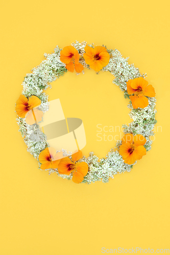 Image of Summer Elderflower and Nasturtium Flower Wreath