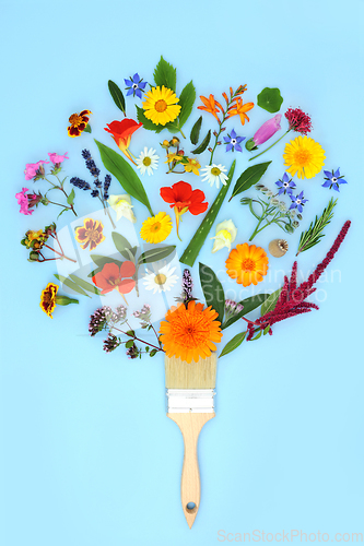 Image of Surreal Colourful Summer Flower Paintbrush Splash