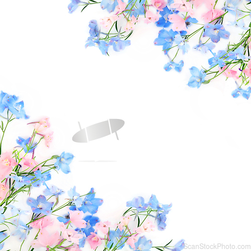 Image of Delphinium Summer Wildflower Background